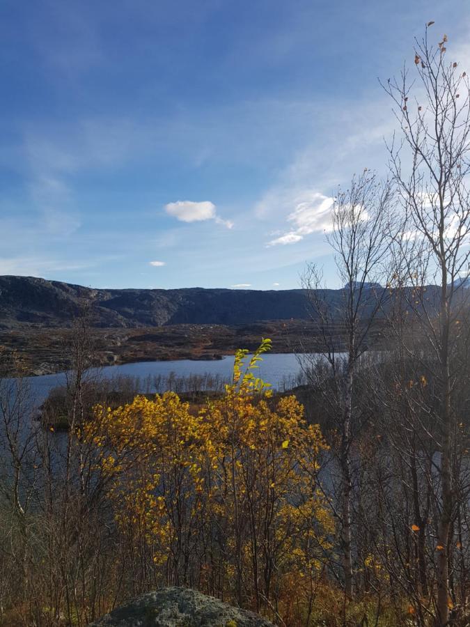 Villa Tinja Fjellgard Narvik Exterior foto