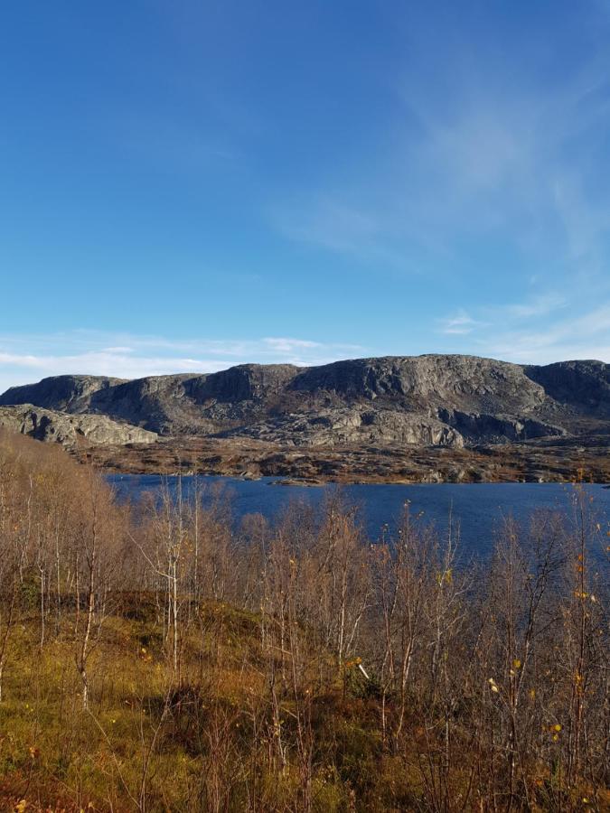 Villa Tinja Fjellgard Narvik Exterior foto