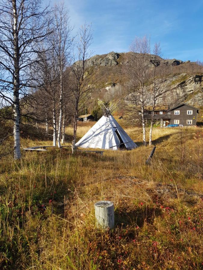 Villa Tinja Fjellgard Narvik Exterior foto